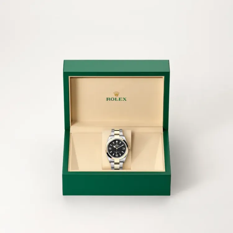 Explorer 36 Rolex Explorer 36 — gallery 2