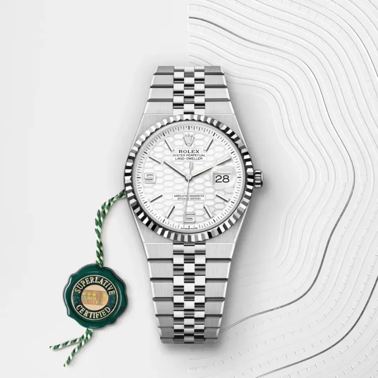 Rolex Land-Dweller 36 M127234-0001 galleria