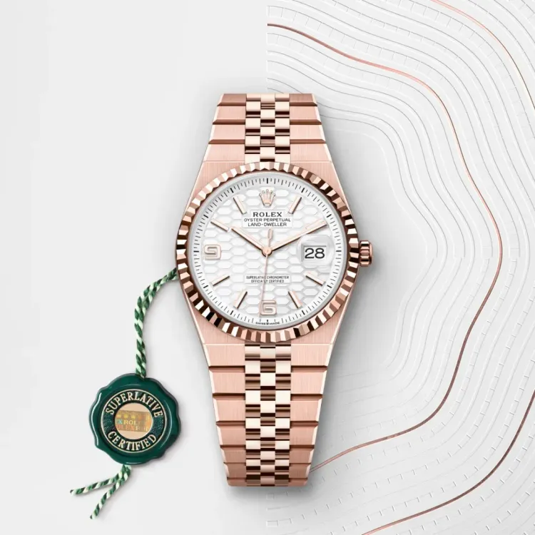 Rolex Land-Dweller 36 M127235-0001 galleria