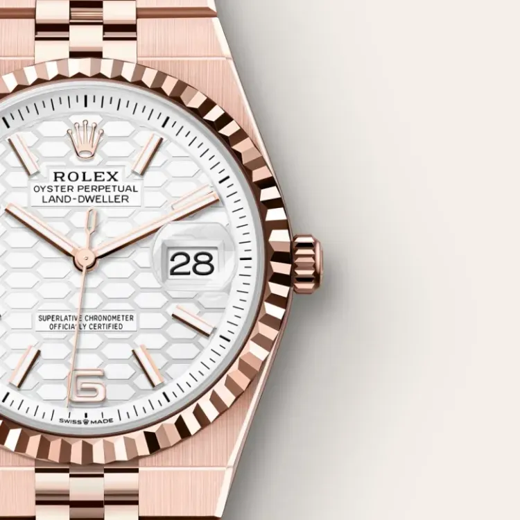 Rolex Land-Dweller 36 M127235-0001 galleria